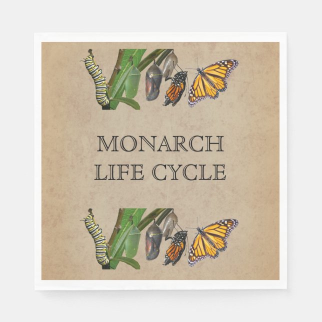 MONARCH LIFE CYCLE PAPPERSSERVETT (Framsidan)