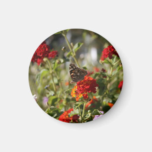 "Monarch" Magnet