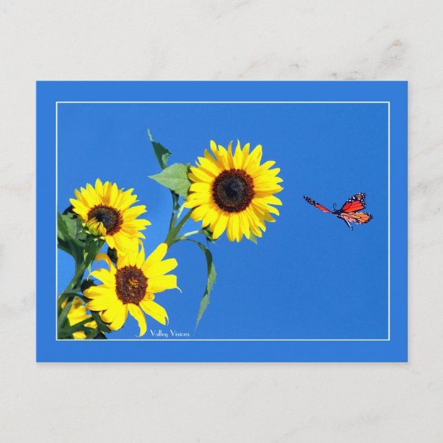 Monarch med Gult och blå Vykort (Framsida)