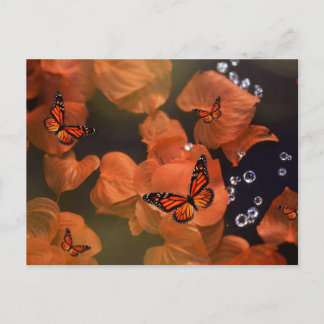 Monarch Moments Vykort