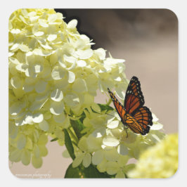 Monarch och Flowers Fyrkantigt Klistermärke