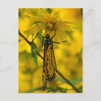Monarch och Gult Flower vycard Vykort