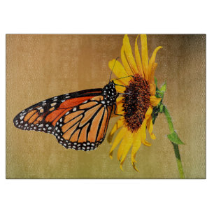 Monarch och Solros