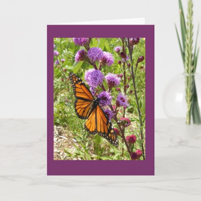Monarch on Prairie Gayfeather Blank Note Card Kort (Framsida)