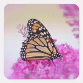 Monarch on Rosa - Butterfly Fyrkantigt Klistermärke