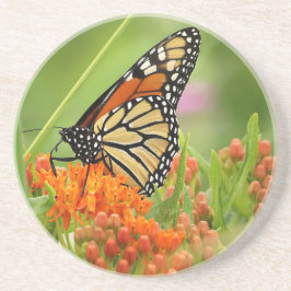 Monarch på Butterfly Ogräs Underlägg
