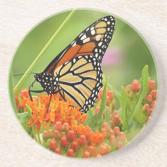 Monarch på Butterfly Ogräs Underlägg (Framsidan)