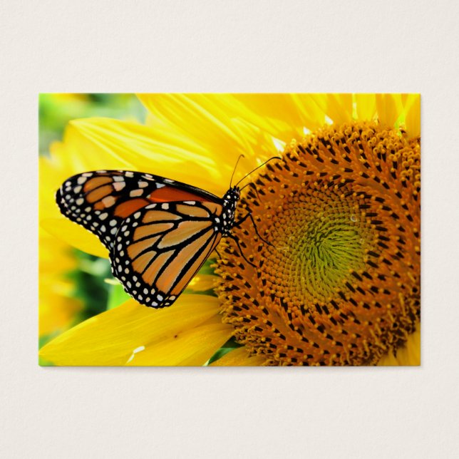 Monarch på ett solroskort ,Profilkort Visitkort (Framsidan)