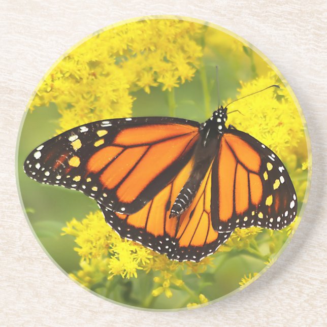 Monarch på Goldenrod Underlägg (Framsidan)