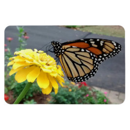 Monarch på Gult Zinnia Photo Magnet