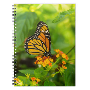 Monarch på Lantana Anteckningsbok