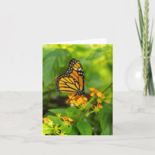 Monarch på Lantana Kort