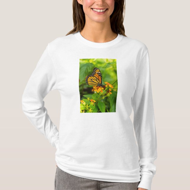 Monarch På Lantana Långärmad T-Shirt (Framsida)