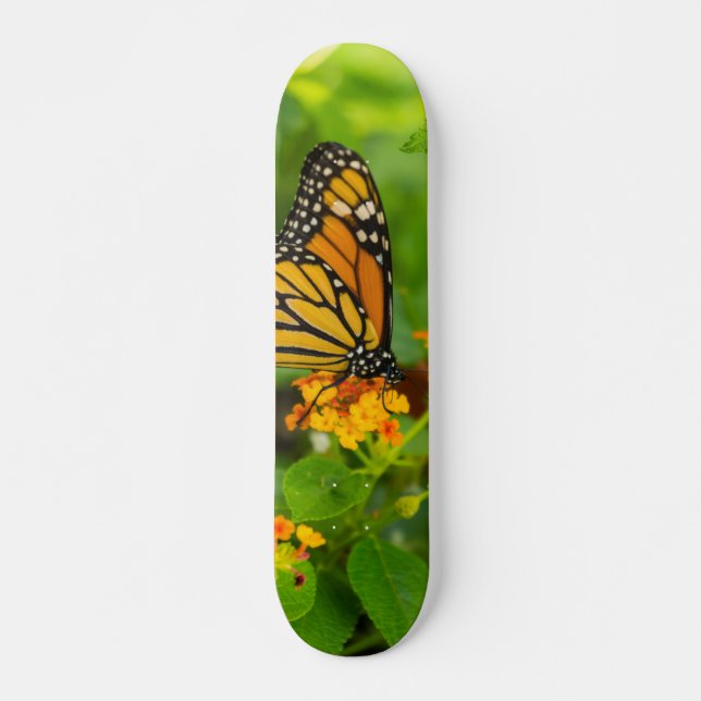 Monarch på Lantana Mini Skateboard Bräda 18,5 Cm (Framsida)