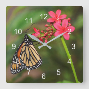 Monarch på Penta-blommor Fyrkantig Klocka