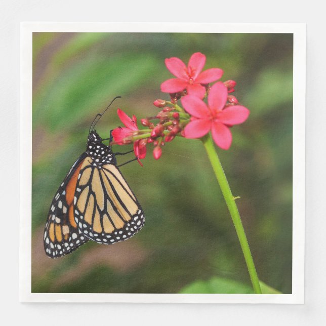 Monarch på Penta-blommor Pappersservett (Framsida)