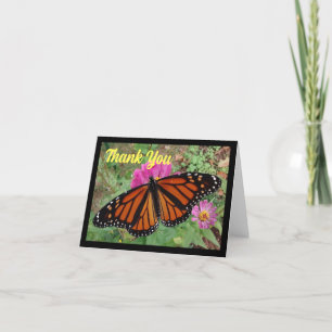Monarch på Rosa Zinnia - tackkort