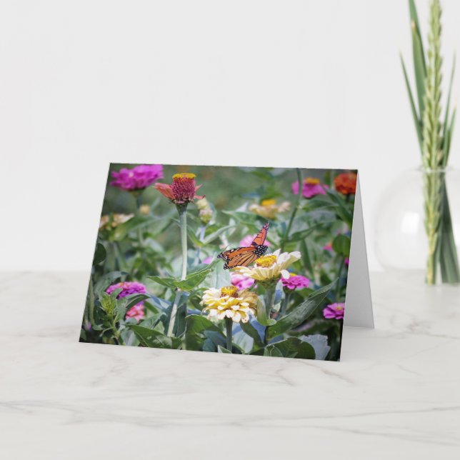 Monarch på Zinnias bårkort Tack Kort (Framsida)