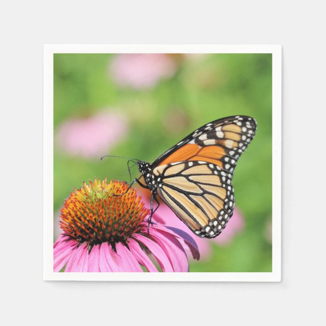 Monarch Pappersservett (Framsidan)