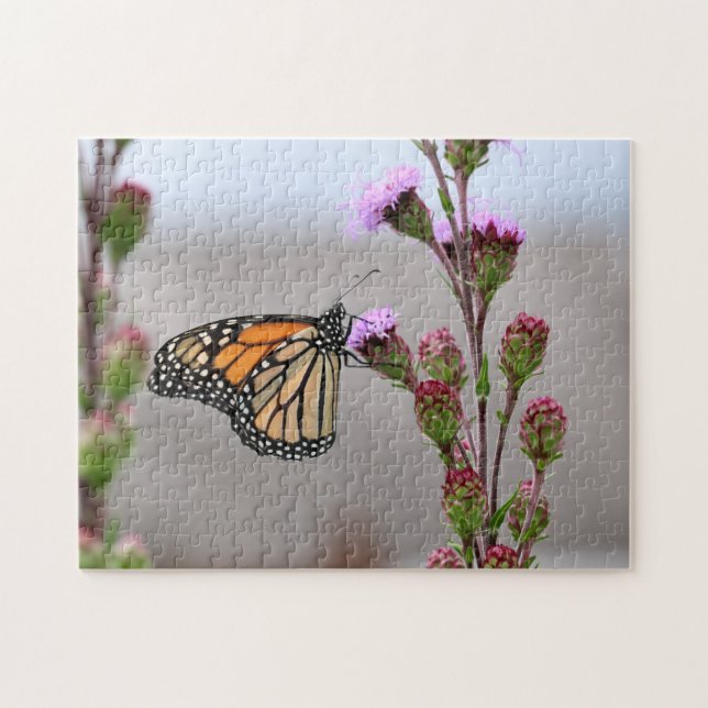 Monarch Pussel (Horisontell)