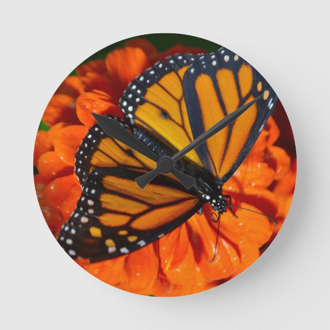 Monarch Rund Klocka (Framsida)