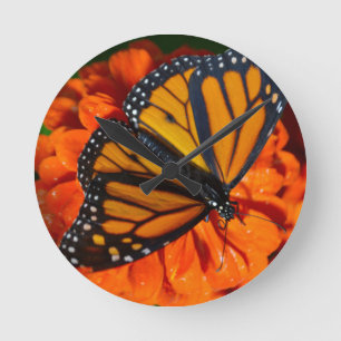 Monarch Rund Klocka