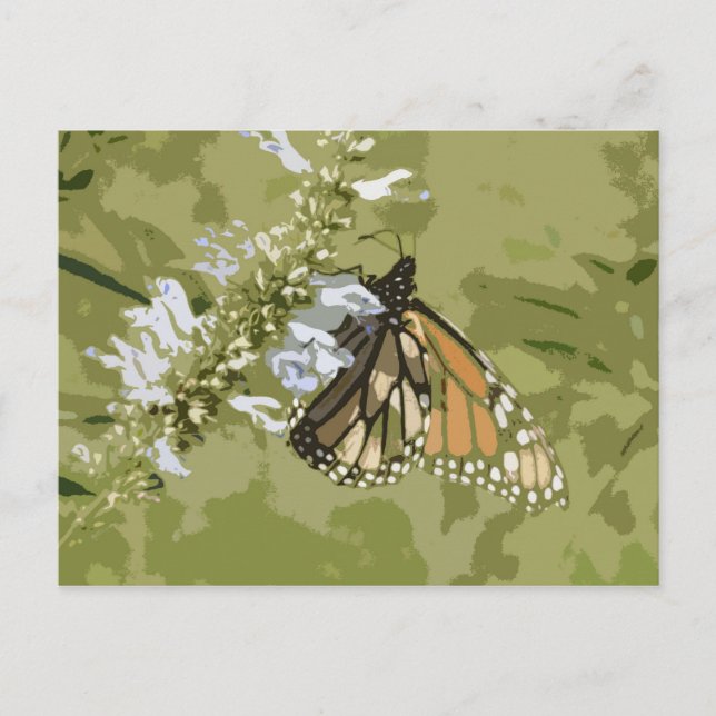 Monarch & Salvia Vykort (Framsida)