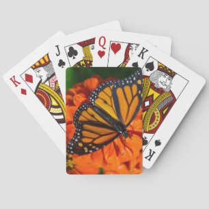 Monarch Spelkort