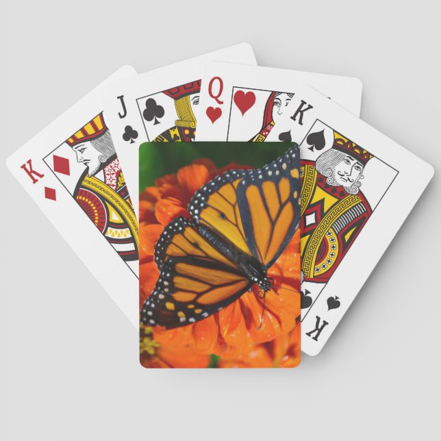 Monarch Spelkort (Baksidan)