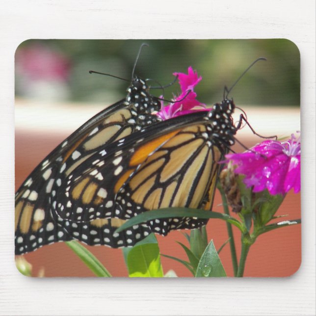 Monarch-Twillingar #1-mousepad Musmatta (Framsidan)