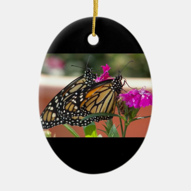 Monarch-Twillingar #1-oval ornament (Framsidan)