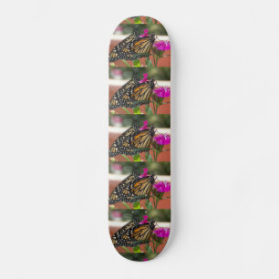Monarch-Twillingar #1-skateboard Skateboard Bräda 21,5 Cm