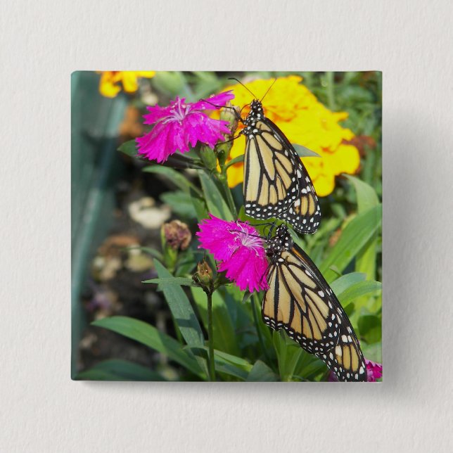 Monarch-Twillingar #2-knapp Knapp (Framsida)
