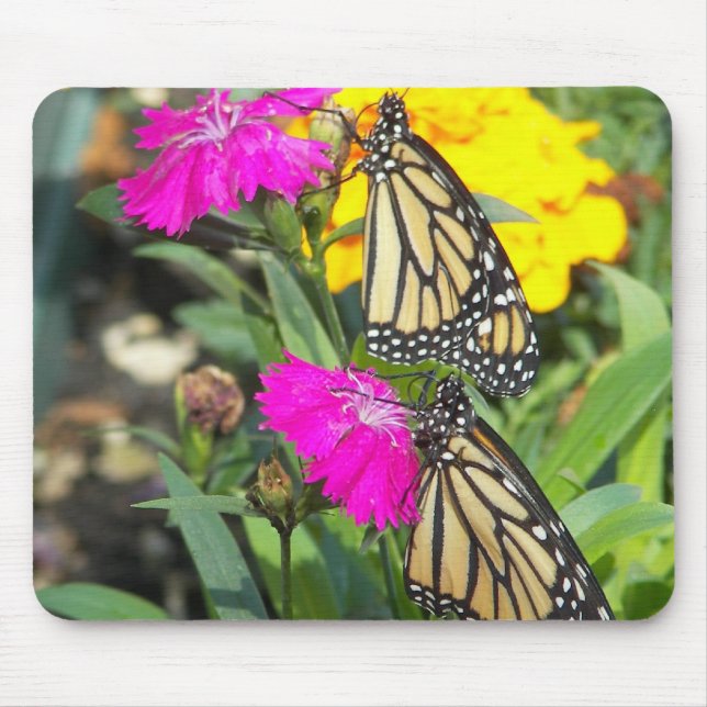 Monarch-Twillingar #2-mousepad Musmatta (Framsidan)
