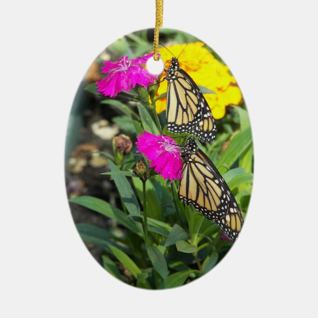 Monarch-Twillingar #2-oval ornament (Framsidan)