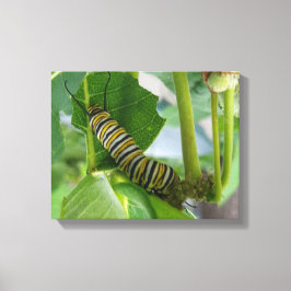 Monarch-vattenpelaren Wrapped Canvas