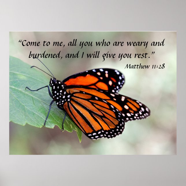Monarch-viloläge Matthew 11:28 Poster (Framsidan)