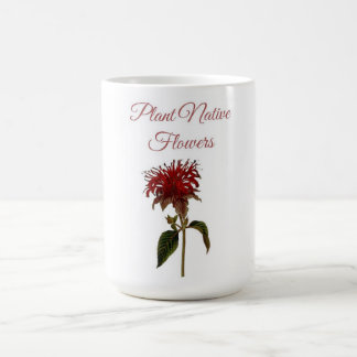 Monarda Växt Inhemska Blommor Kaffemugg