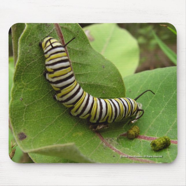 Monark Caterpillar Musmatta (Framsidan)