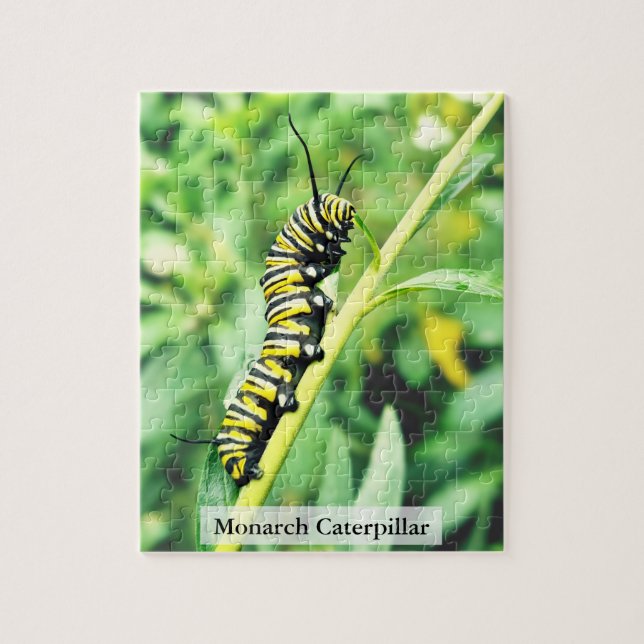 Monark fjäril Caterpillar utfodring 110 st Pussel (Vertikal)