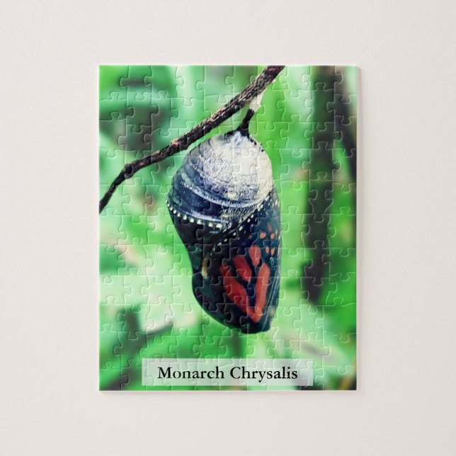 Monark fjäril Chrysalis innan kläckning 110st Pussel (Vertikal)