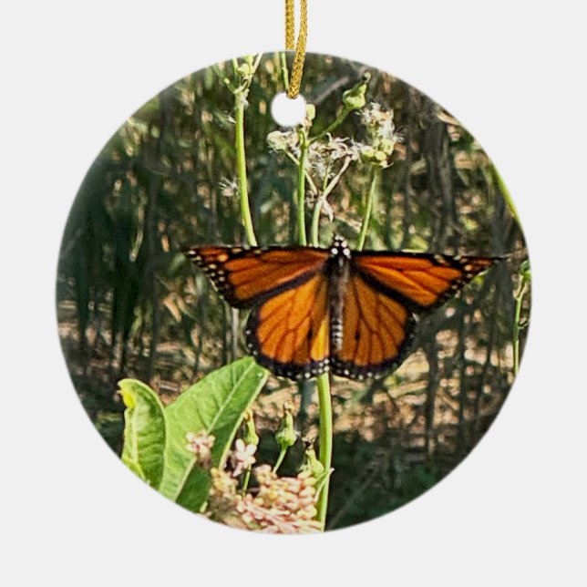 Monark Fjäril Foto Ornament (Framsidan)
