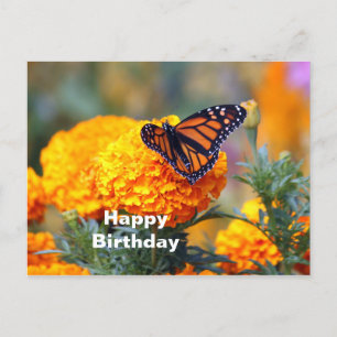 Monark fjäril Marigold Foto Födelsedag Vykort