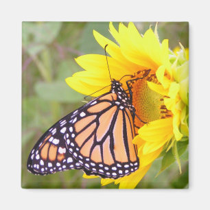 Monark Magnet