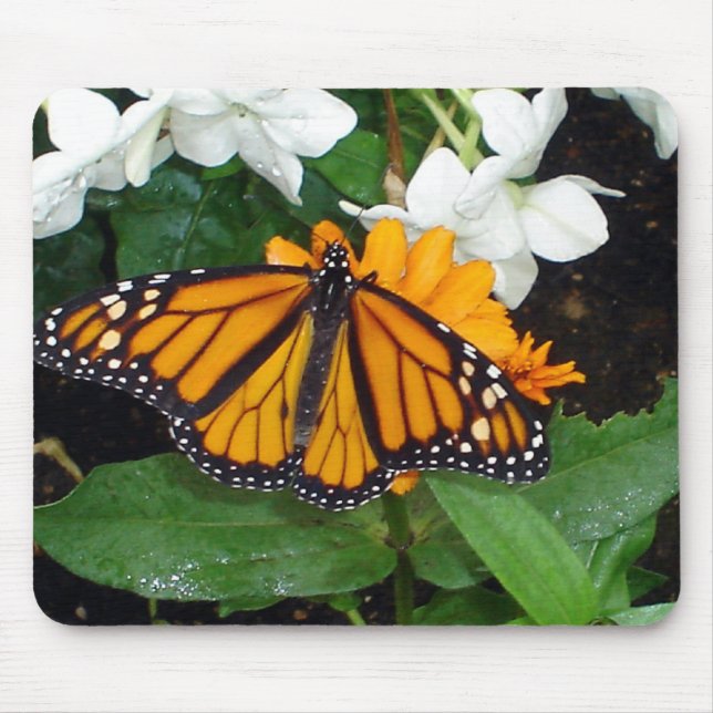 Monark Mousepad Musmatta (Framsidan)