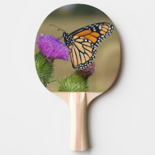Monark på betesmark Thistle Prairie Ridge Pingisracket