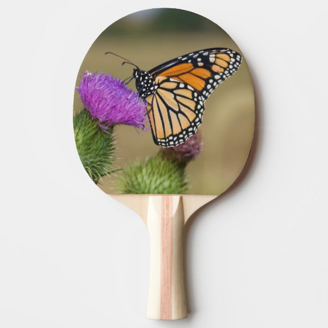 Monark på betesmark Thistle Prairie Ridge Pingisracket (Framsidan)