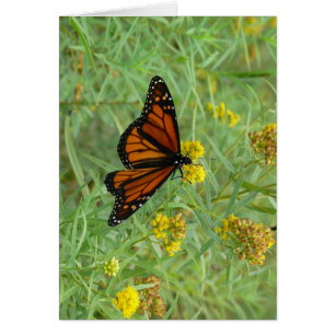 Monark på Goldenrod Hälsningskort