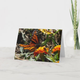 Monark & ringblomma kort