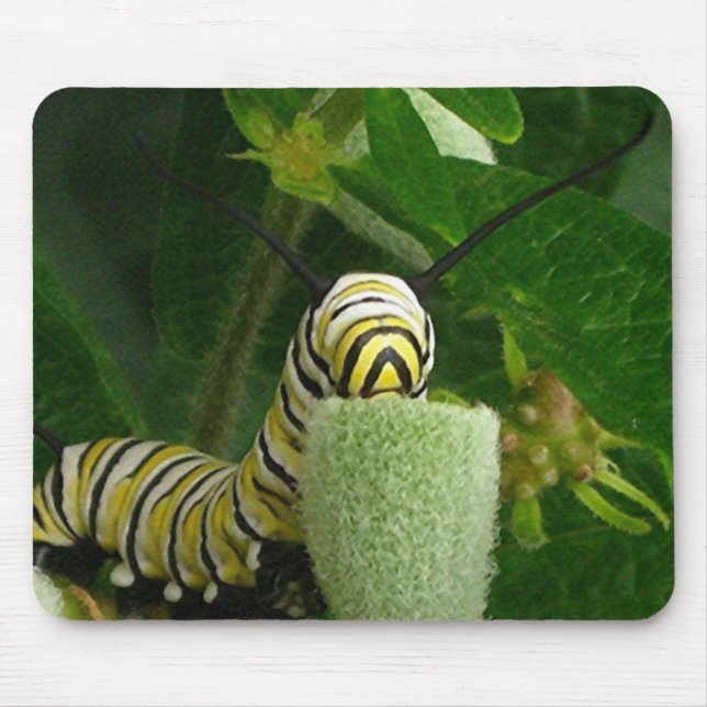 MONARKCATERPILLAR mousepad Musmatta (Framsidan)